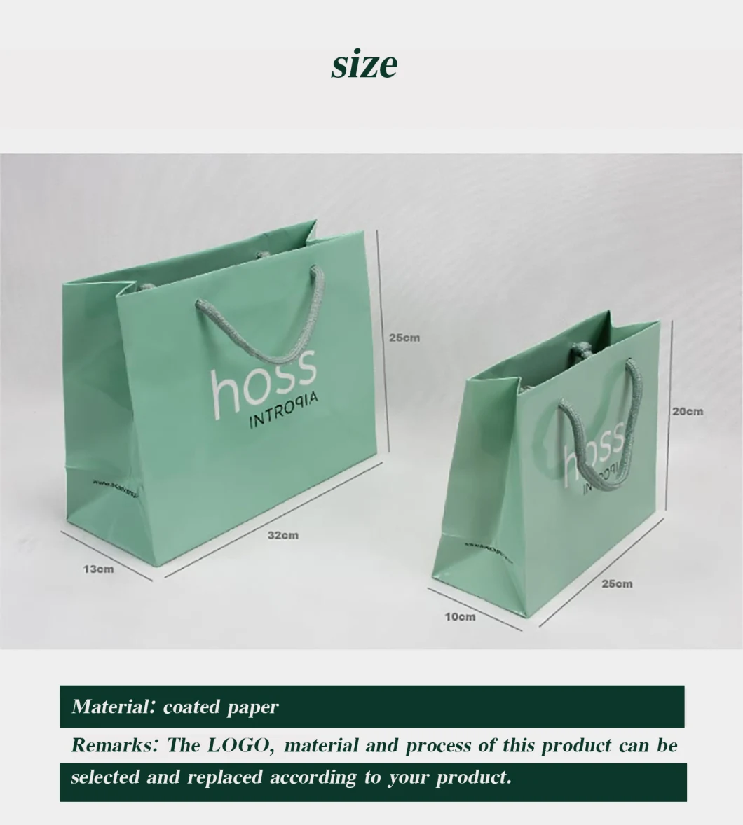 Custom Print Shopping Paper Bags with Your Own Logo